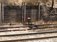 Spring Bluff Rail 2023 P9265033