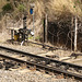 Spring Bluff Rail 2023 P9265034