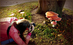 Girl in Mushroom Wonderland... (+PiP collage :-)