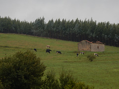 rural Cantabria