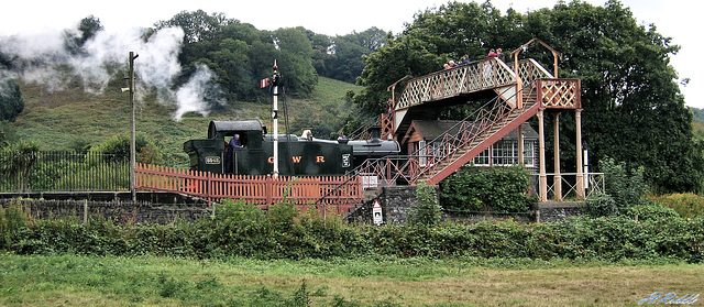 Rails, fences and steam in Devon