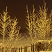 Fence in winter night