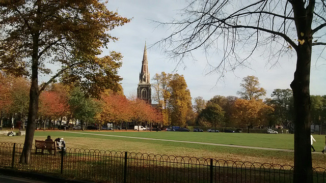 Autumn colours, Turnham Green