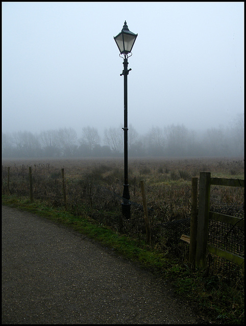 lamp in the Oxford gloom