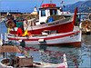 Le barche da pesca nel porto di Camogli