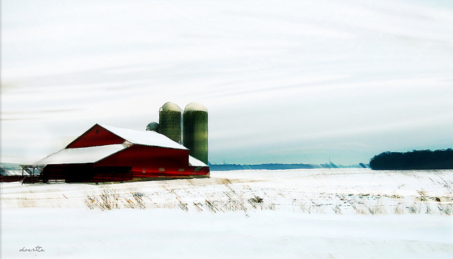 Michigan winter farm