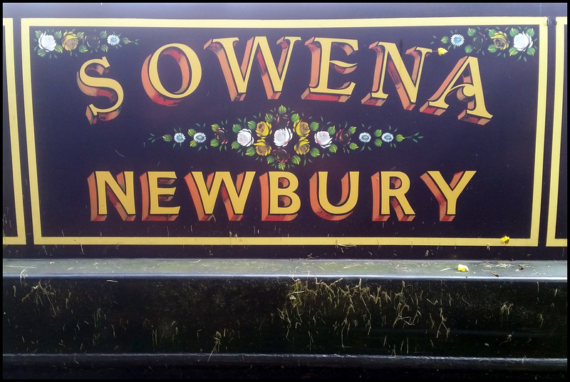 Sowena of Newbury
