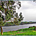 Waikato River View.