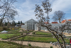 Palmenhaus im Schlosspark von Pillnitz