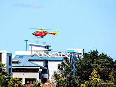 Hamilton Hospital Helicopter.