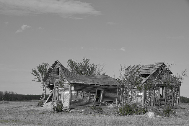 abandoned house in clearing B&W