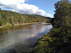 Autoroute fluvial pour canards / Rodovia molhada para patos