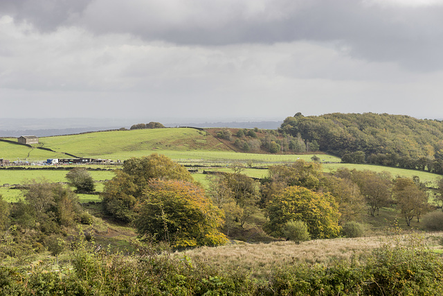 View west over Limb Valley from Lady Canning's Plantation