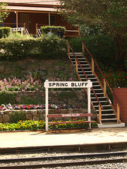 Spring Bluff 2023 P9265028