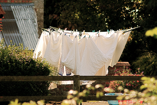The Washing Line