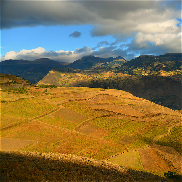 On the slopes of the Andes.