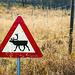 Beware of reindeer