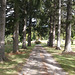 Sentier funéraire / Funerary path