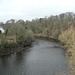 River Clyde At Blantyre