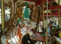 Carousel Lion