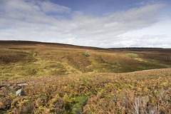 Looking north over Houndkirk Moor