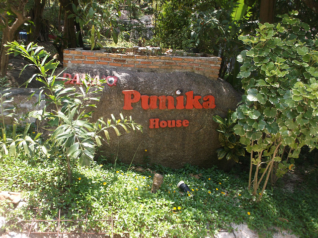 Les alentours de Punika house (1)