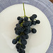 Traube - grape 8
