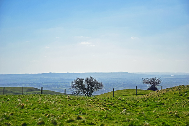 White Sheet Hill ~ Wiltshire