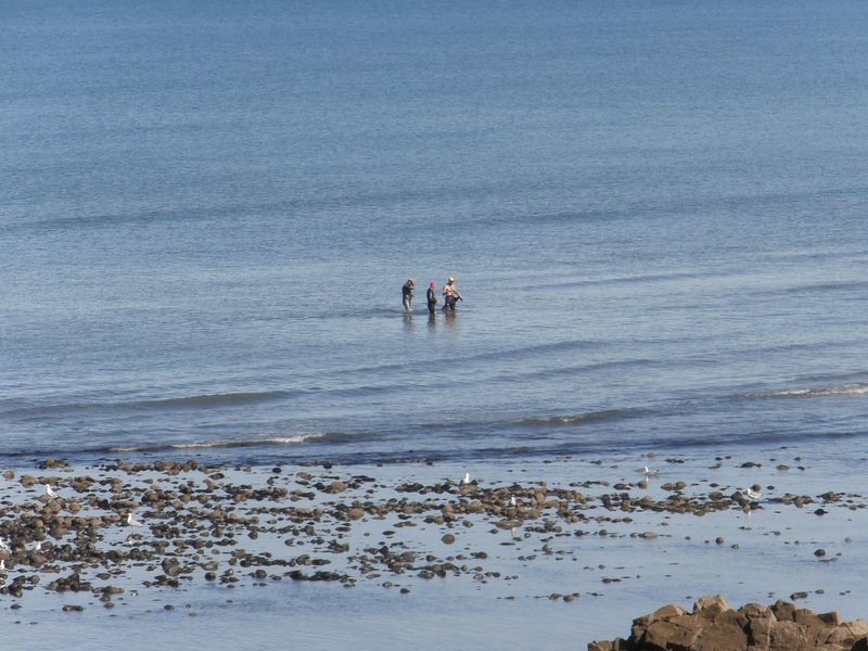 The three swimmers coming ashore