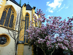DE - Ahrweiler - Springtime at St. Laurentius