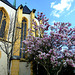DE - Ahrweiler - Springtime at St. Laurentius