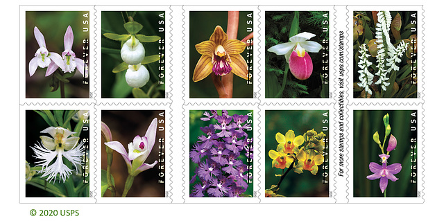 Wild Orchid stamps - US Postal Service [Explored 2020-02-09]