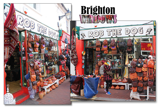 Rob the Dog - Brighton windows - 31.3.2015