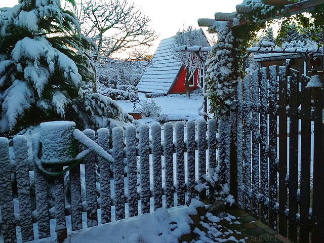 Wintereinbruch am Gartenzaun ... HFF !