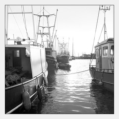 fishing fleet in 'contre-jour'