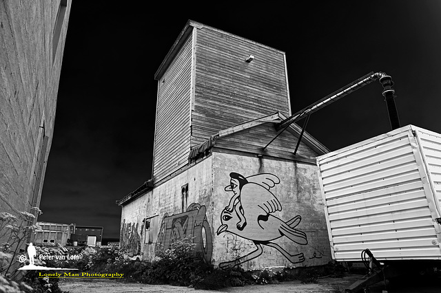 Vardø Street Art