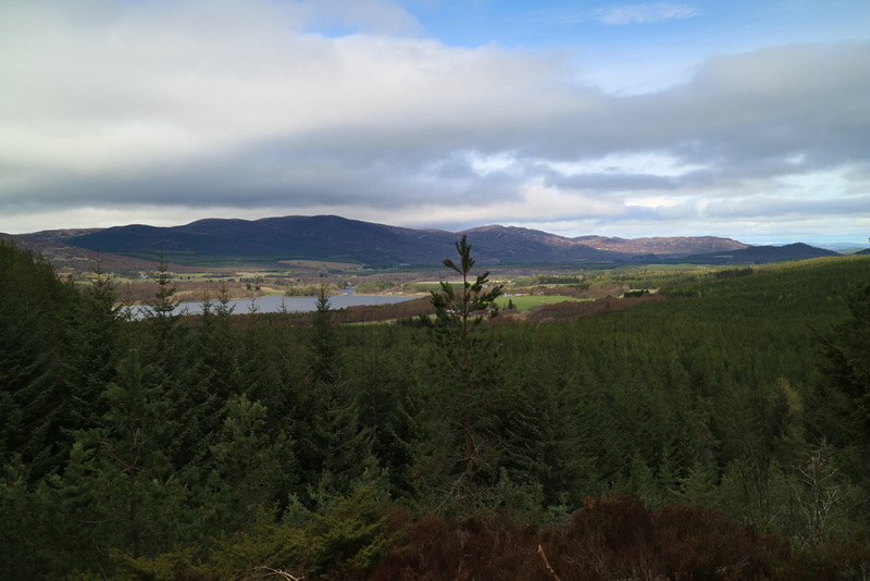 Creag Far-leitire, Inshirach Forest, Kincraig, Highlands, Scotland