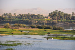 le Nil