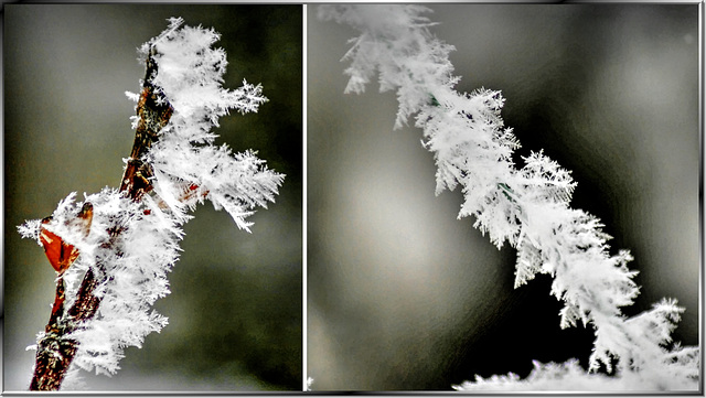 Eiskristalle. Ice crystals. ©UdoSm