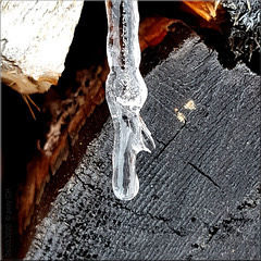 frozen drop of water  (PiP)