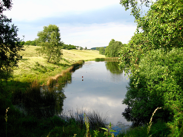 Bretby Pools and the strangely named Philosopher's Wood on the left