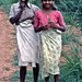 Teepflückerinnen auf Sri Lanka 1982
