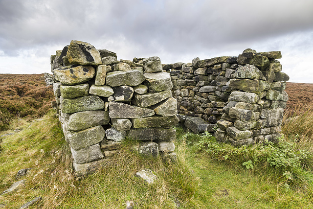 Shelter on Hounkirk Moor wall 1