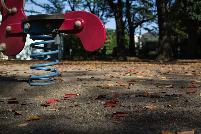 Fallen leaves in a children's playground