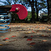 Fallen leaves in a children's playground
