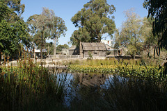 Pond At Sovereign Hill