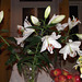 Lovely lilies given by neighbour
