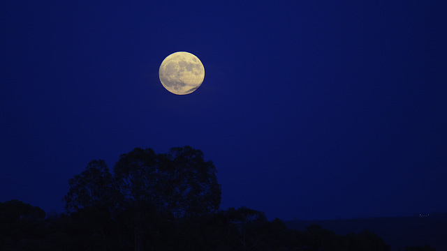 Penedos, Blue moon  night 2