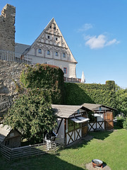 Der Zaun bei Burg Scharfenstein