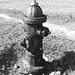 Oasis hydrant